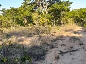 farm for sale